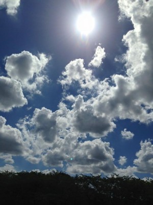 夏の空