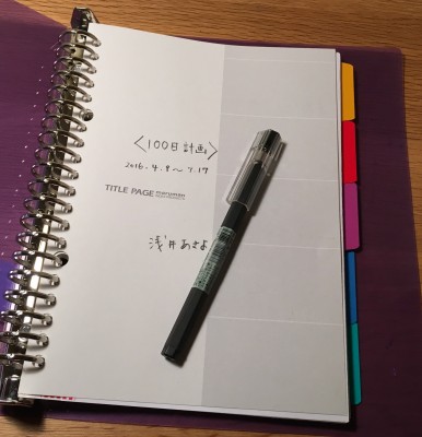100_day_plan